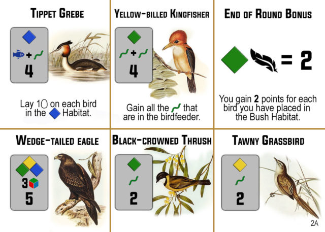 Bird Card 2A