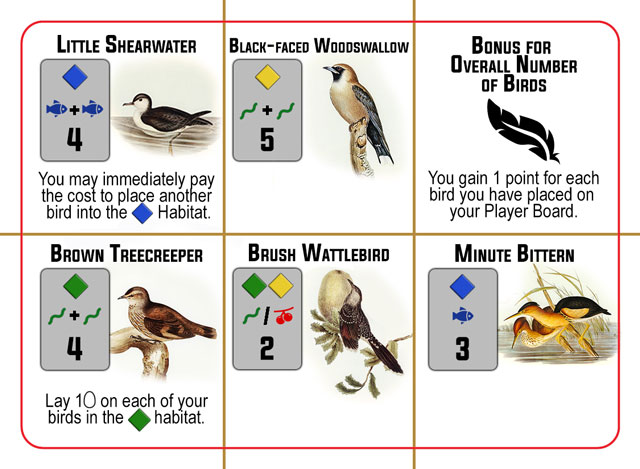 Bird Card 1 Side A
