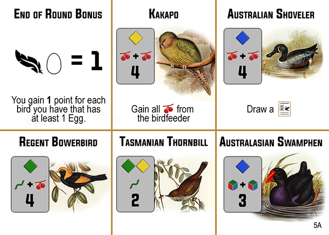Bird Card 5A take 2